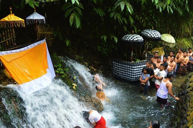 Spiritual Purification and Local Healer Visit Tour (ALL INCLUDED) - A spiritual start with a local healer in Ubud