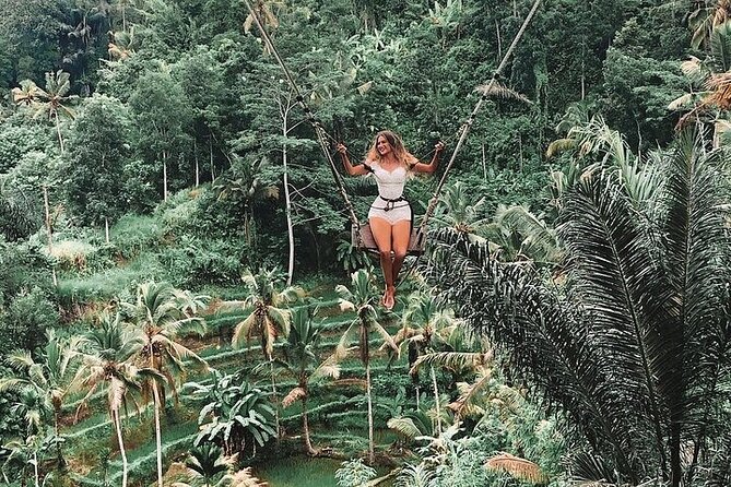 Swimming At Taman Sari Waterfall & Visit The Best Site Of Ubud - Tegallalang Rice Terrace: big views, limited time