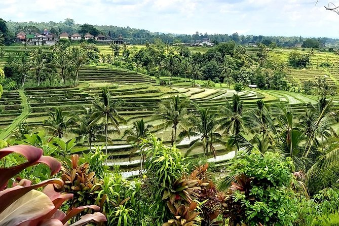 Tanah Lot and Jatiluwih Unesco Rice Terrace Private Tour - Jatiluwih rice terraces, the day’s scenic centerpiece