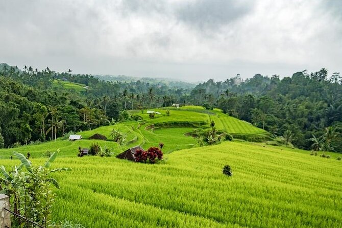 Tanah Lot and North Bali Tour: Scenic Journey - Banyumala Twin Waterfalls: beautiful, but not easy