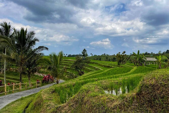 Tanah Lot - Ulun Danu Beratan Temple - Scenic Countryside Tour - Banyumala Twin Waterfall and the longest stop