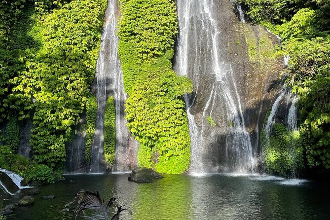 Tanah Lot - Ulun Danu Beratan Temple - Scenic Countryside Tour - The $85 price and what you still pay