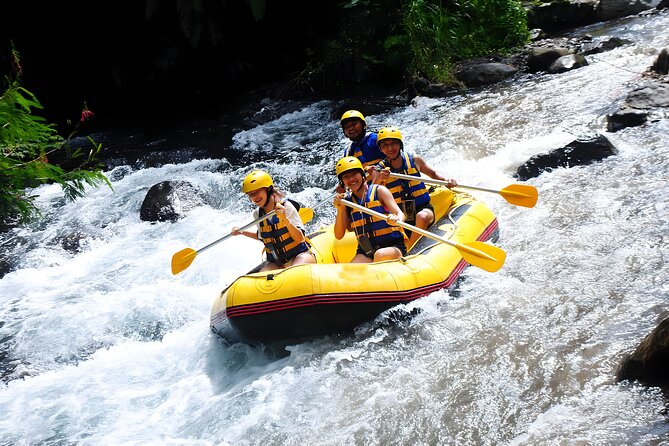 Telaga Waja White Water Rafting - With No Step or Stair : Bali Best Adventures - Is $30 good value for Bali rafting?