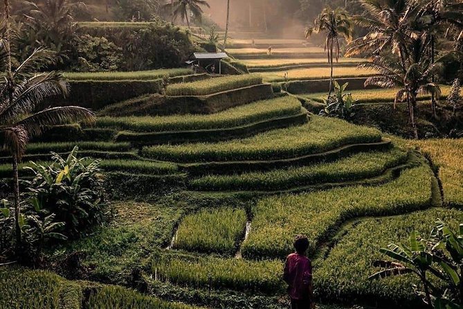 The Gates of Heavan - Ubud Jungle Swing & Waterfall Tour - Uma Pakel jungle swing near Ubud