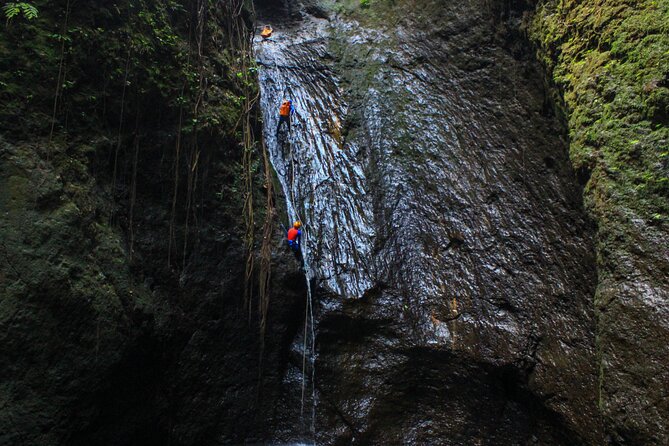 The Hidden Gorgeous Canyoning | Aling Canyon - The 6:00 am start from Ubud