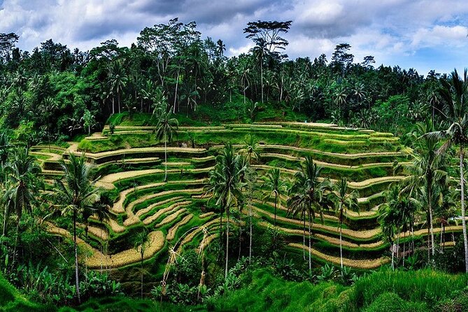 The Popular Of Ubud Private Day Tour - Why the timing can feel tight