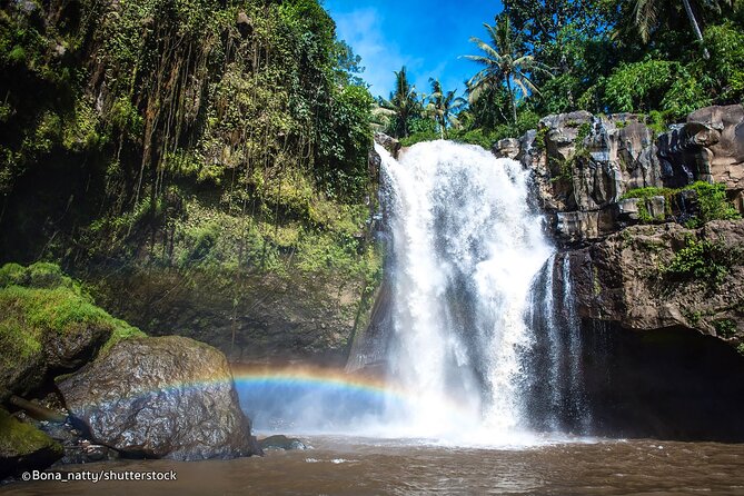 Three Main spot Bali Waterfall with Swing - What the private vehicle changes