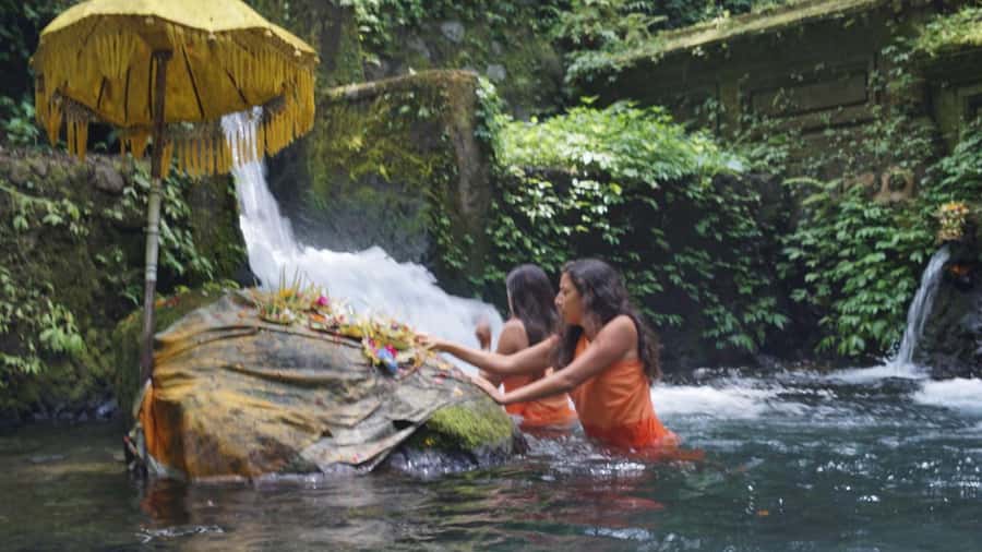 Tirta Empul Holy Water & Palm Reading – Private Tour - Puri Pandawa Bali Palm Reading