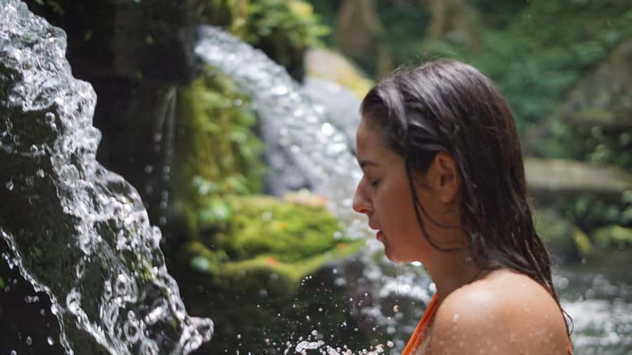 Tirta Empul Holy Water & Palm Reading – Private Tour - The $78 price and what you receive