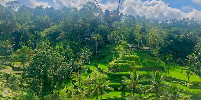 Tour full day ubud, water fall,coffe atv,and rice paddy - Key points to know before booking