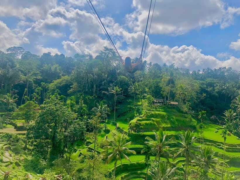 Tour full day ubud, water fall,coffe atv,and rice paddy - Rice paddies and the final photo stop