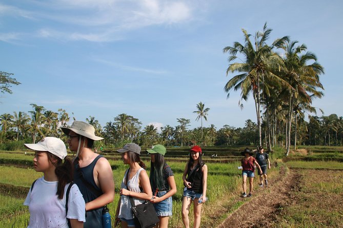 Trekking and Sightseeing tour with lunch - Walking through Delodsema and Taro village