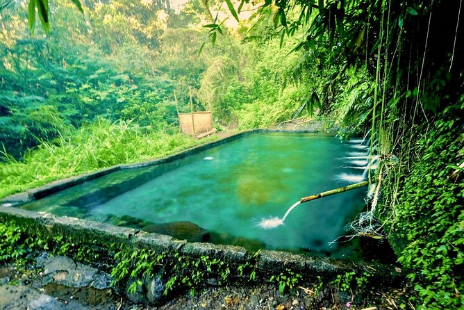 Trekking and Sightseeing tour with lunch - The Tegalalang rice terrace photo stop