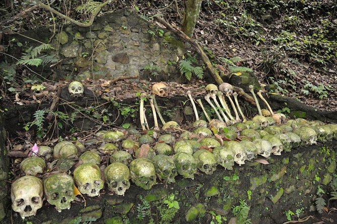 Trunyan Cemetery, Hot Spring, Penglipuran Village, and Waterfall Tour - Why this Bali day trip is different