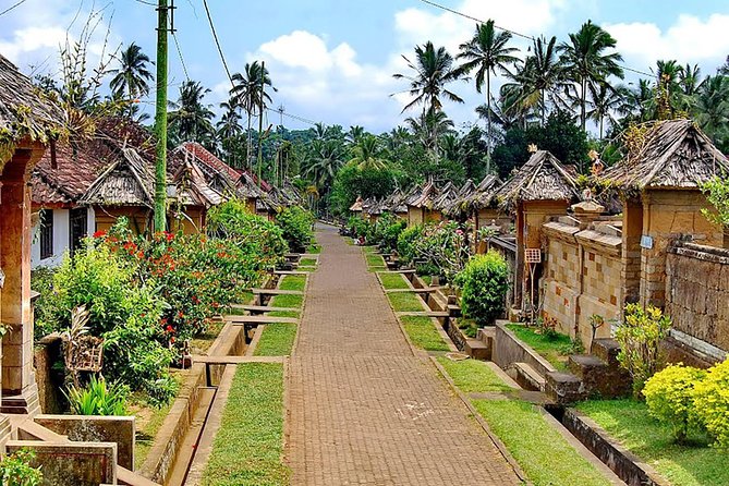 Trunyan Cemetery, Hot Spring, Penglipuran Village, and Waterfall Tour - Who will get the most from this tour