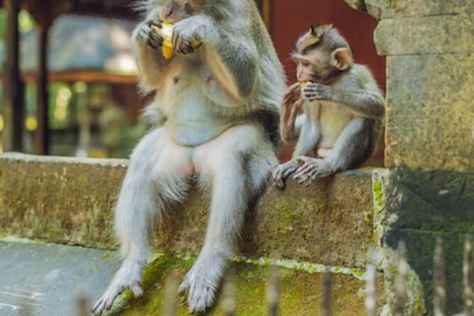 Ubud 1 Day Tour (Private & All-Inclusive) - Tegenungan Waterfall starts the day with fresh air