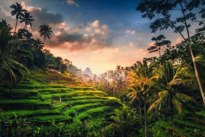 Ubud 1 Day Tour (Private & All-Inclusive) - Private transport changes the feel of a long day