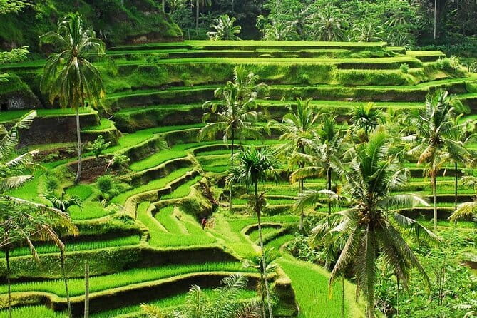 Ubud 1 Day Tour (Private & All-Inclusive) - What the price covers, and what it does not