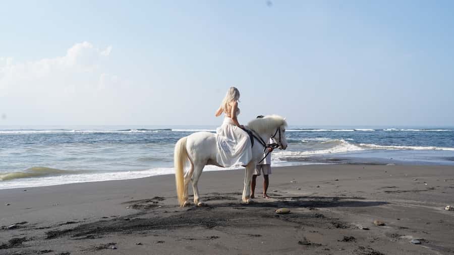 Ubud: 1 Hour Beach Horse Riding with Transfer - Returning to the Stable