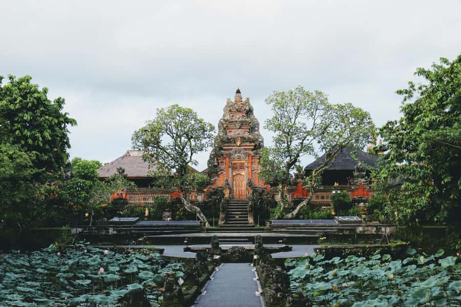 Ubud 3-in-1: Swing, Zipline & SkyBike Adventure - Three aerial rides above Ubud’s rice terraces