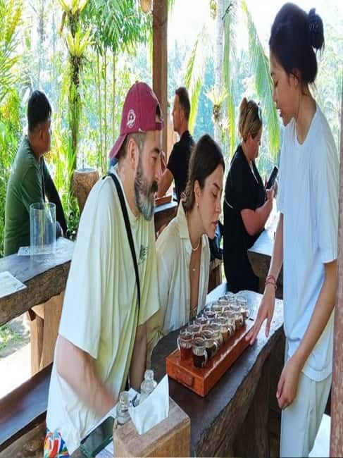 Ubud: 4 Waterfalls Tour with Private Driver - What your private driver adds to the day