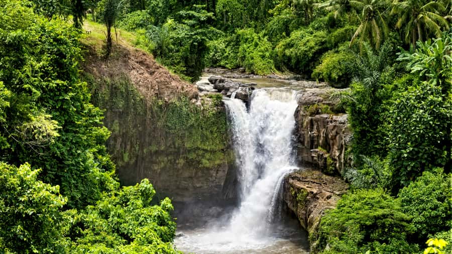 Ubud Adventure: ATV Thrills, Monkey Encounters, & Waterfall - An action-first day around Ubud