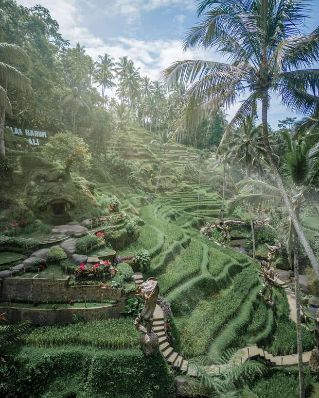 Ubud: Alas Harum Day-Pass, Swing, Sky Bike & Flying Fox - What the Alas Harum day pass really buys you