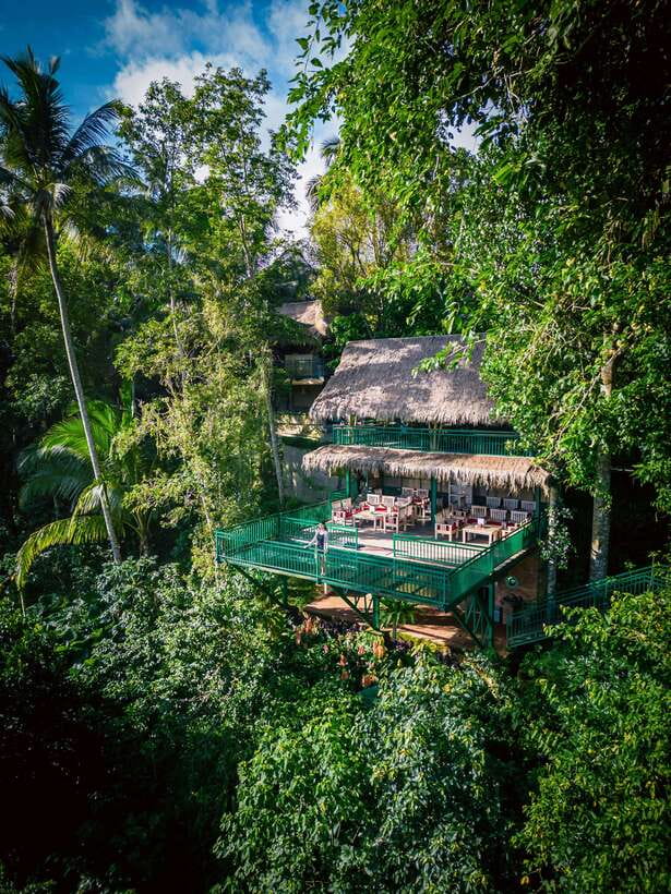Ubud: Alas Harum Day-Pass, Swing, Sky Bike & Flying Fox - Walking into the rice terraces