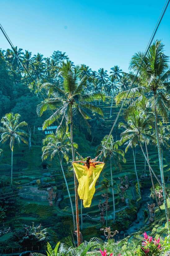 Ubud: Alas Harum Day-Pass, Swing, Sky Bike & Flying Fox - Cretya Ubud and the pool question
