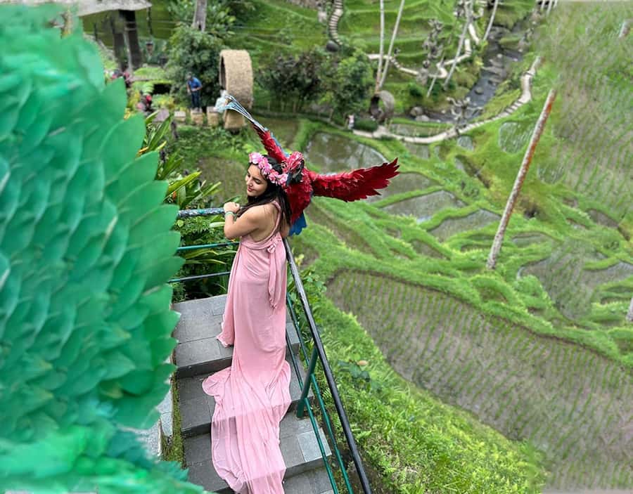 Ubud: Alas Harum, Tirta Empul, Tukad cepung, Dedari - Practical advice before you go