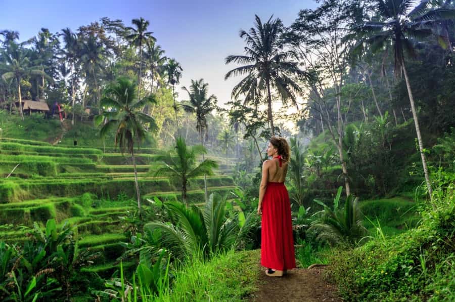 Ubud: All-Inclusive Tour with Optional Lunch - Key points to know before booking