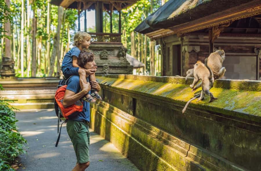 Ubud: All-Inclusive Tour with Optional Lunch - Why this Ubud day works for first-time visitors