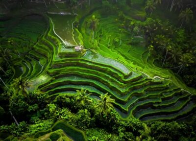 All-Inclusive Tour with Optional Lunch