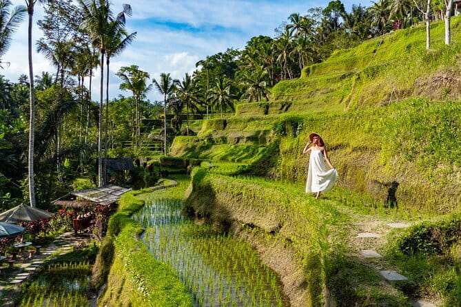 Ubud All-Inclusive Tour with Swing and Lunch - The day’s best features at a glance