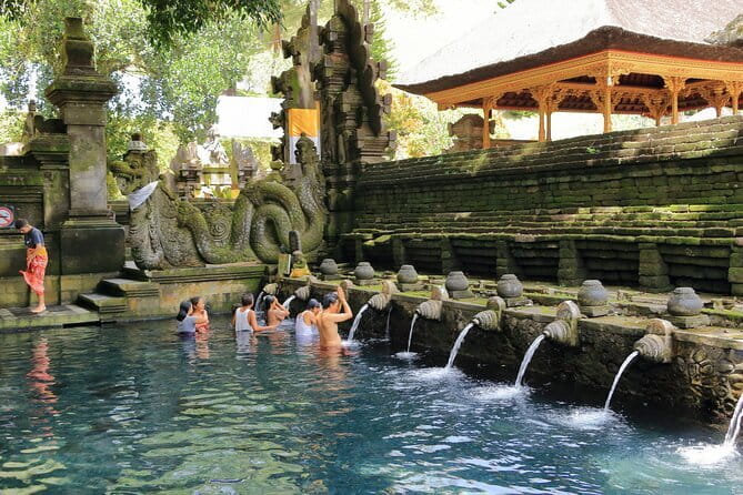 Ubud All-Inclusive Tour with Swing and Lunch - What the private Ubud tour actually delivers