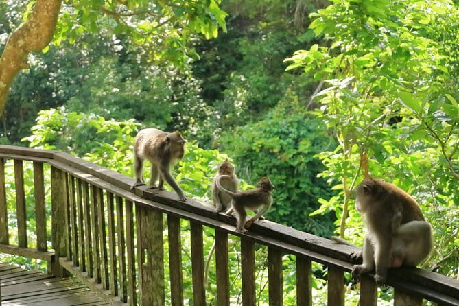 Ubud All-Inclusive Tour with Swing and Lunch - Tirta Empul gives the day its spiritual center