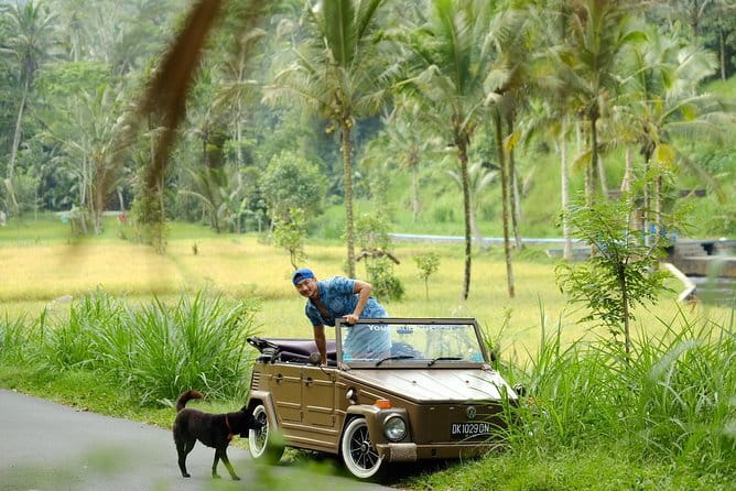 Ubud All-Inclusive Tour with Swing and Lunch - Sacred Monkey Forest Sanctuary needs alert attention