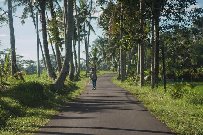Ubud Art, Monkey Forest and Rice Terrace Tour - Browsing Ubud Traditional Art Market