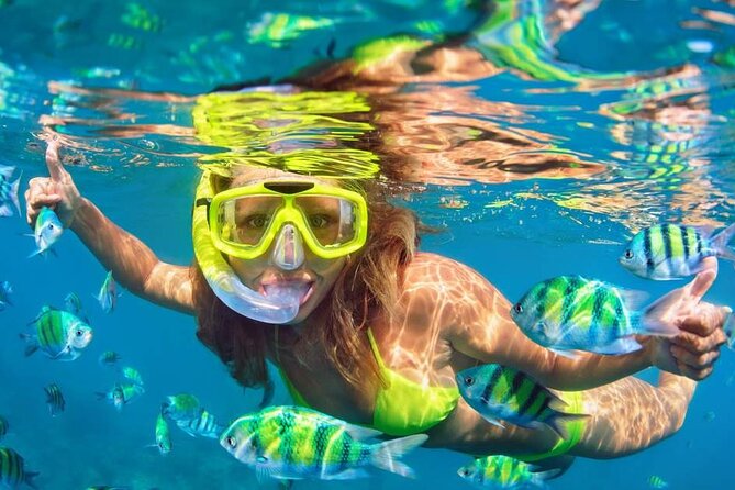 Ubud ATV Quad Bike and Snorkeling at Blue Lagoon Beach - Is $70 a fair price?