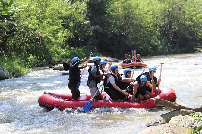 Ubud ATV Quad Bike with Ayung River Rafting Experience - The buffet lunch between the activities
