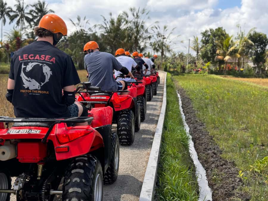 Ubud: ATV Quad Bike & Zip-Line Adventure with Meal - Zip lining above Tegalalang rice terraces