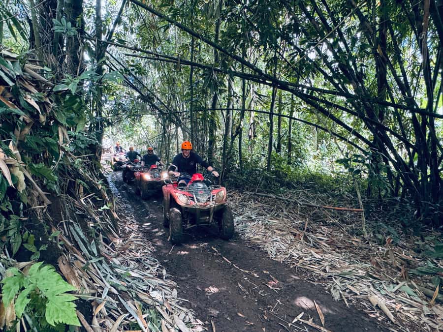 Ubud: ATV Quad Bike & Zip-Line Adventure with Meal - Price, timing, and what the package is worth