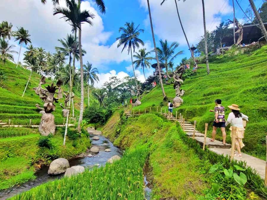 Ubud: ATV Quad Bike, Zip-line and Cretya Alas Harum Tour - Who makes the most of this Ubud adventure