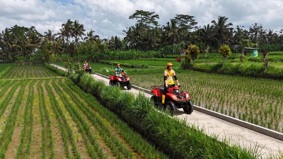 Ubud: ATV Quad Biking, Temple & Tibumana Waterfall Tour - The coffee plantation question