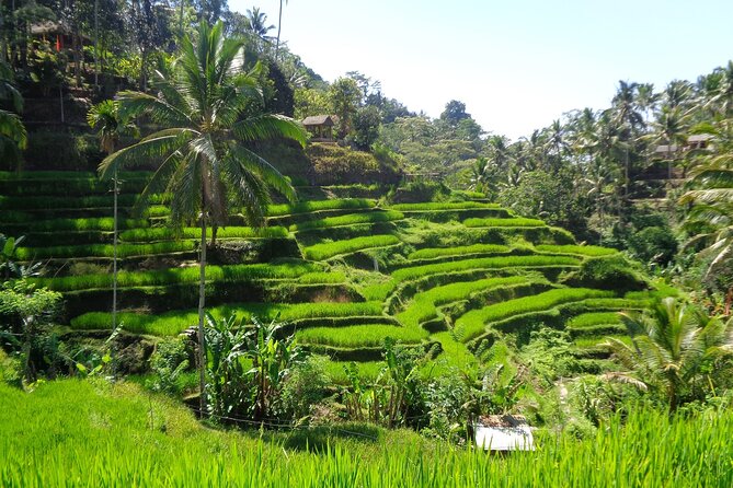 Ubud ATV ride Adventure and water rafting - What the Ubud and Kintamani wording means for your day