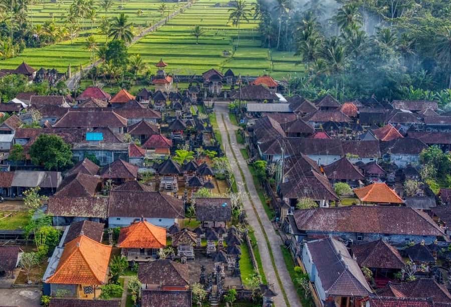 Ubud: Authentic Traditional Balinese Village Cooking Class - What you actually cook and learn