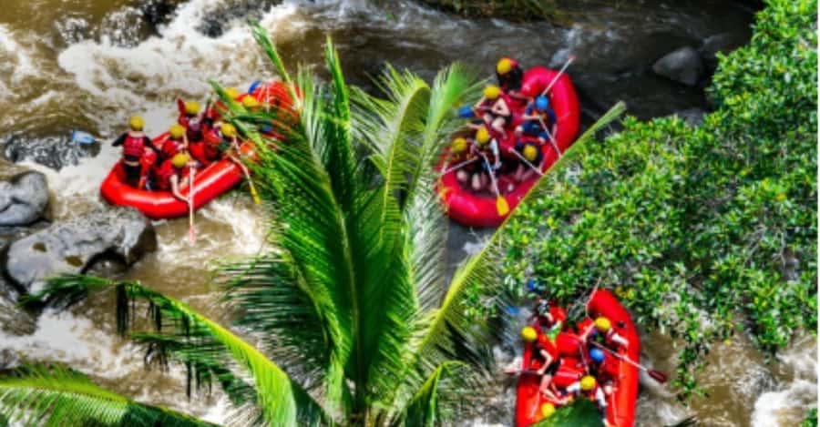 Ubud: Ayung River Rafting Adventure with Lunch and Transport - Why the Ayung River works for first-time rafters