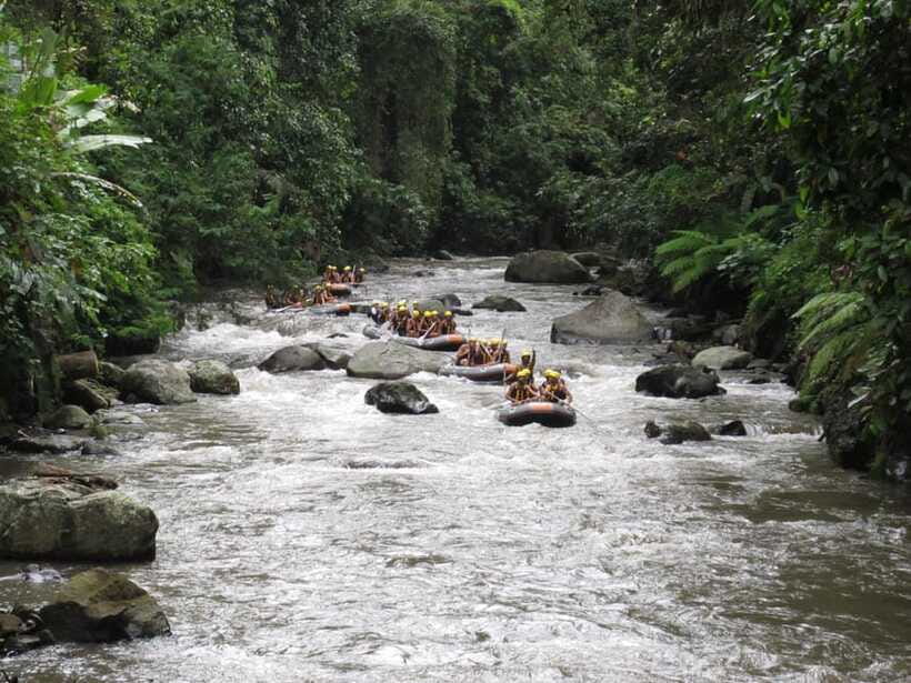 Ubud: Ayung River Rafting Include Lunch - What the shared boat means for your day