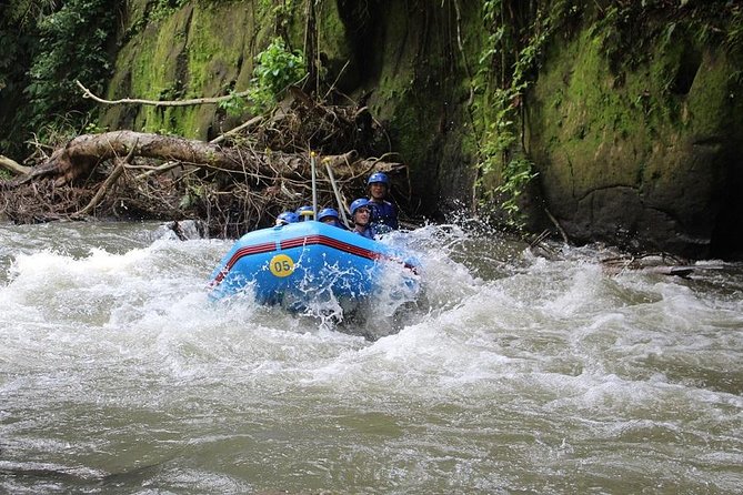 Ubud Ayung Water Rafting included Lunch and Transfer - Who should book this Ayung rafting trip?