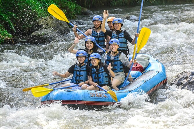 Ubud Ayung Water Rafting included Lunch and Transfer - Booking, weather, and cancellation details